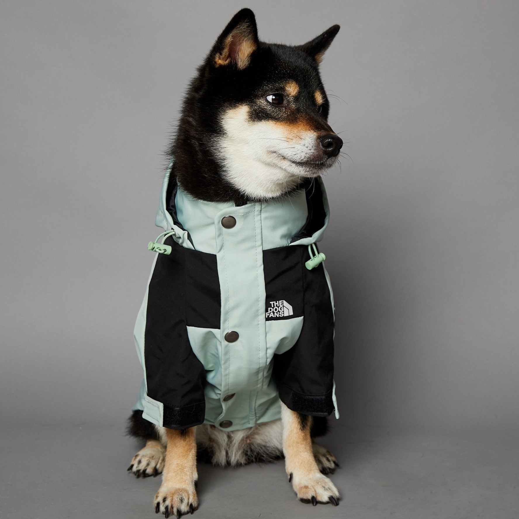 The Dog Fans Regenjacke in hellgrün